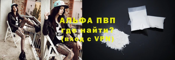 индика Алексин