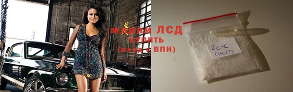 индика Алексин