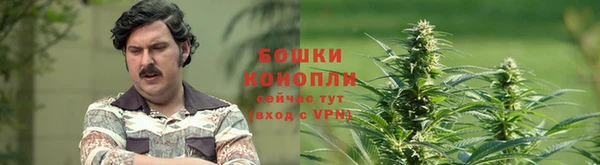 кокаин колумбия Алзамай