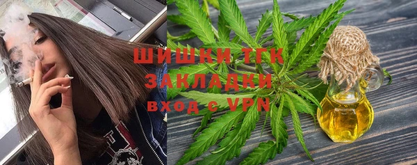 индика Алексин
