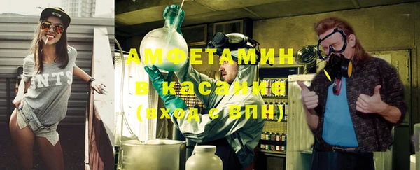индика Алексин