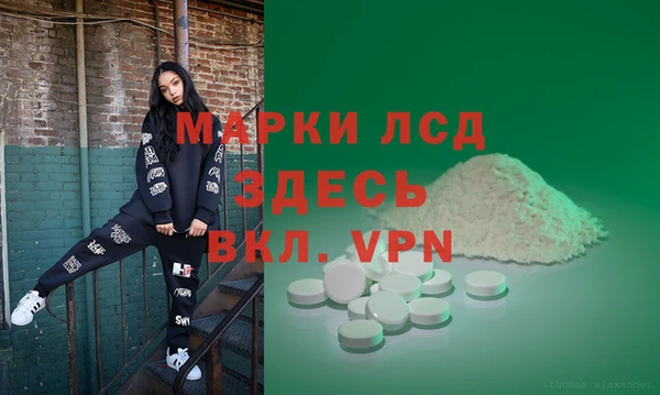 индика Алексин
