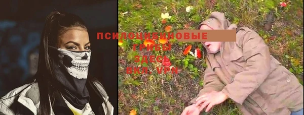 Альфа ПВП Алексеевка