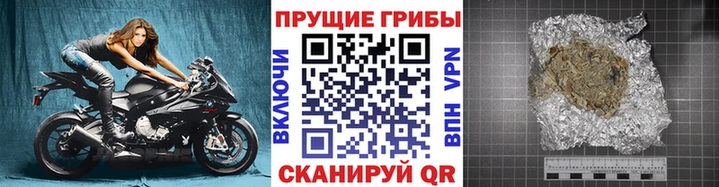 Галлюциногенные грибы Psilocybe хочу Камышин